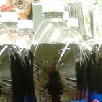 Cola in Flaschen