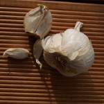 Knoblauch Knolle